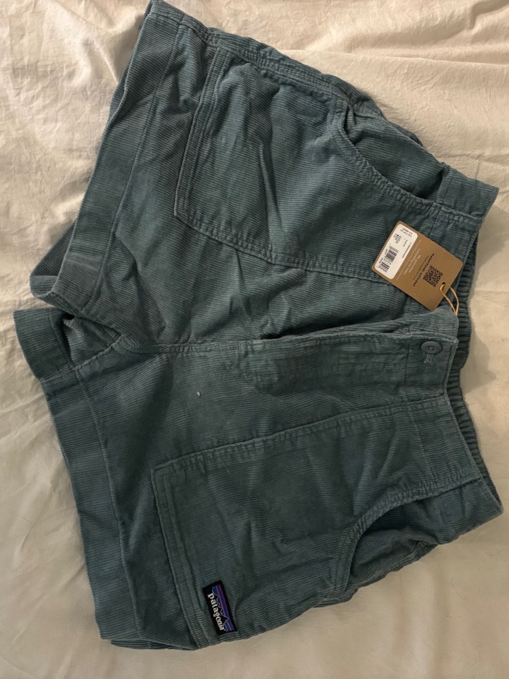 Patagonia Teal Corduroy Shorts